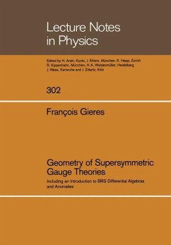 Geometry of Supersymmetric Gauge Theories - Gieres, Francois