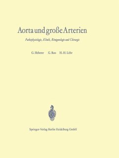 Aorta und große Arterien - Heberer, Georg;Rau, G.;Löhr, H.-H.