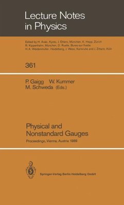 Physical and Nonstandard Gauges