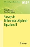 Surveys in Differential-Algebraic Equations II