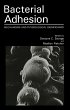 Bacterial Adhesion - Bild 1