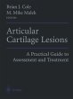 Articular Cartilage Lesions - Bild 1