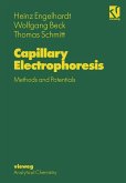 Capillary Electrophoresis Capillary Electrophoresis
