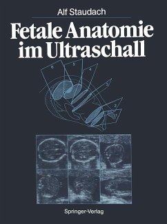 Fetale Anatomie im Ultraschall - Staudach, Alf