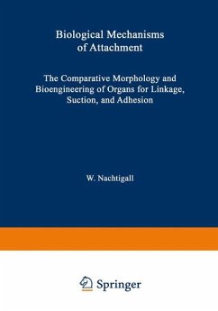 Biological Mechanisms of Attachment - Nachtigall, W.