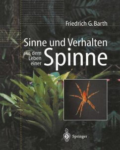 Sinne und Verhalten: aus dem Leben einer Spinne - Barth, Friedrich G.