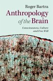 Anthropology of the Brain (eBook, PDF)