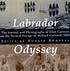 Labrador Odyssey (eBook, PDF) - Bild 1