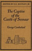 Captive of the Castle of Sennaar (eBook, PDF)