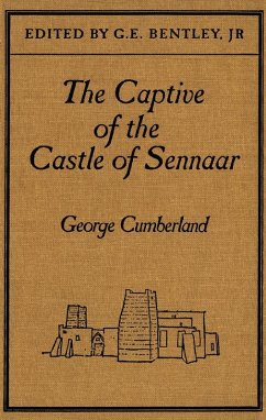 Cover Captive of the Castle of Sennaar (eBook, PDF)