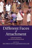 Different Faces of Attachment (eBook, ePUB)