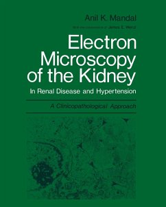 Electron Microscopy of the Kidney