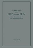 Fuß und Bein Fuß und Bein
