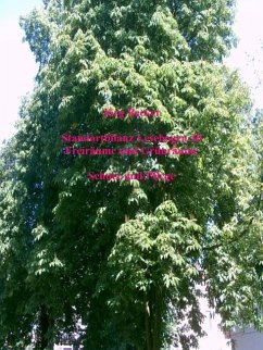 Cover Standortbilanz Lesebogen 30 Freiräume und Grünräume (eBook, ePUB)