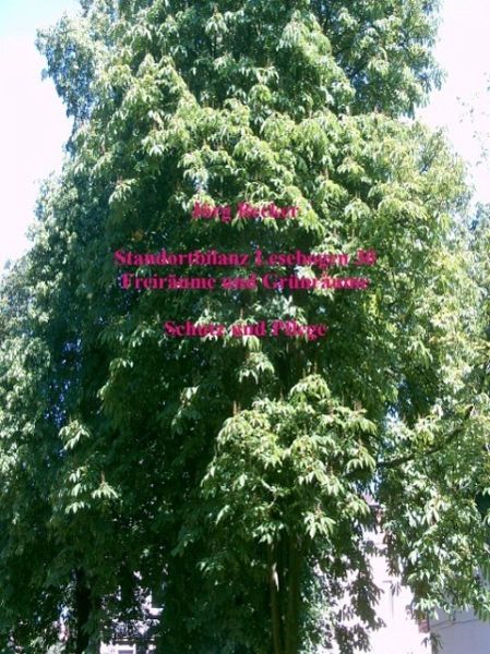 Standortbilanz Lesebogen 30 Freiräume und Grünräume (eBook, ePUB) Standortbilanz Lesebogen 30 Freiräume und Grünräume (eBook, ePUB)