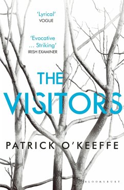 Cover The Visitors (eBook, ePUB)