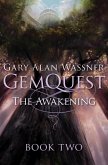 The Awakening (eBook, ePUB)