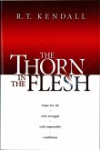 Thorn In the Flesh (eBook, ePUB)