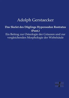 Das Skelet des Döglings Hyperoodon Rostratus (Pont.) - Gerstaecker, Adolph