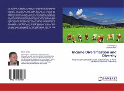 Income Diversification and Diversity