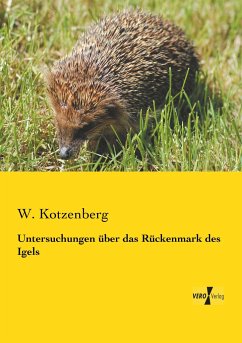 Untersuchungen über das Rückenmark des Igels - Kotzenberg, W.