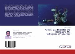 Natural Gas Hydrates and Damage to the Hydrocarbon Production