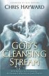 God's Cleansing Stream (eBook, ePUB) - Bild 1