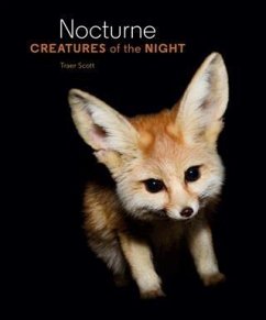 Cover Nocturne (eBook, ePUB)