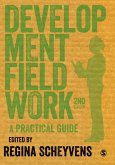 Development Fieldwork (eBook, PDF)
