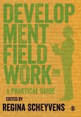 Development Fieldwork (eBook, PDF)