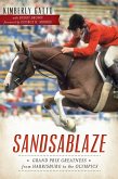 Sandsablaze (eBook, ePUB)