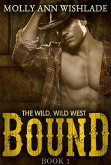 Bound (eBook, ePUB)