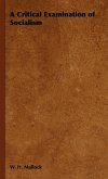 A Critical Examination of Socialism (eBook, ePUB)