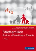 Stieffamilien (eBook, PDF)