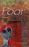 Poor (eBook, ePUB)