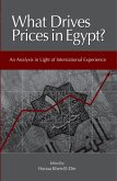 What Drives Prices in Egypt? (eBook, ePUB) What Drives Prices in Egypt? (eBook, ePUB)