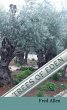 Trees of Eden (eBook, ePUB) - Bild 1
