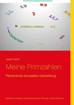 Meine Primzahlen (eBook, PDF)