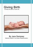 Giving Birth (eBook, ePUB)