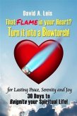 That Flame in your Heart? Turn it into a Blowtorch! (eBook, ePUB)