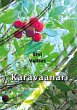 Karavaanari - Bild 1