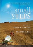 Small Steps (eBook, ePUB)
