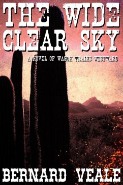 Wide Clear Sky (eBook, ePUB) - Veale, Bernard