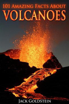 Cover 101 Amazing Facts about Volcanoes (eBook, PDF)