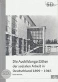 Die Ausbildungsstätten der sozialen Arbeit in Deutschland 1899-1945 (eBook, PDF)