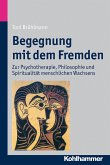 Begegnung mit dem Fremden (eBook, PDF)