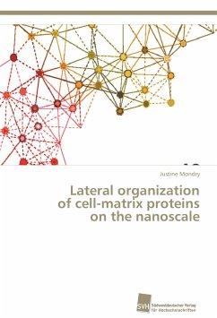 Lateral organization of cell-matrix proteins on the nanoscale - Mondry, Justine