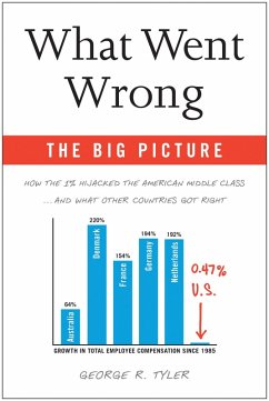 Cover The What Went Wrong: Big Picture (eBook, ePUB)