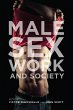 Male Sex Work and Society (eBook, ePUB) - Bild 1