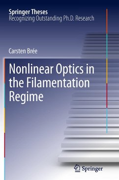 Nonlinear Optics in the Filamentation Regime - Brée, Carsten